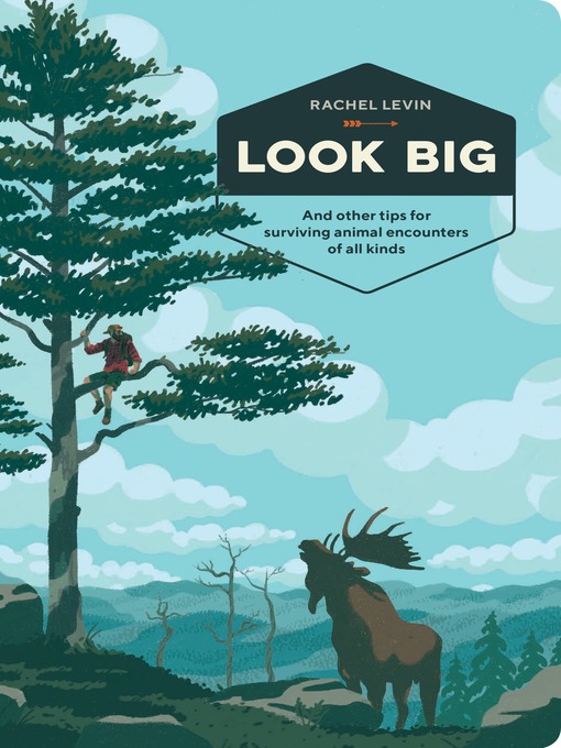 Cover image for Look Big
